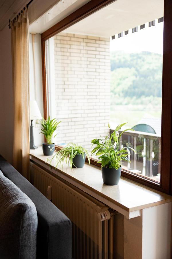 Ferienwohnung Mit Seeblick — Sport Und Erholung Winterberg Kültér fotó